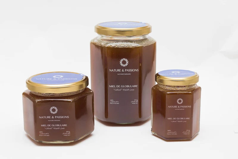 Miel de globulaire